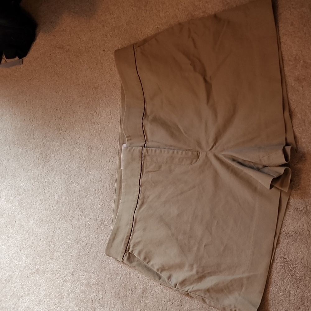 LOFT sz 14 womens shorts